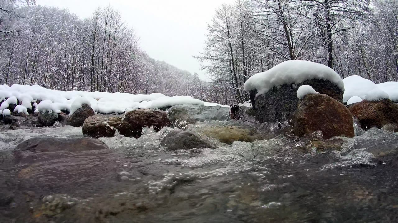 river #nature #river #shorts #short