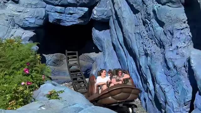 What is your favorite roller coaster at Disneyland Paris