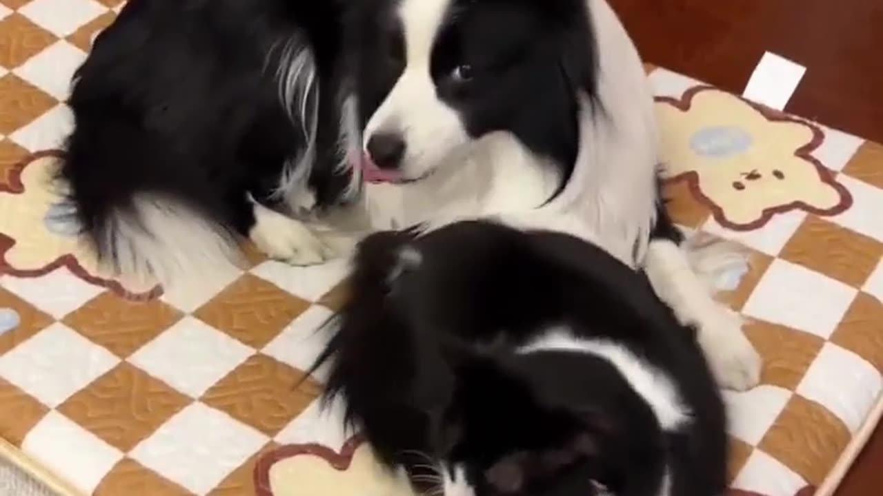 We are good, Mom