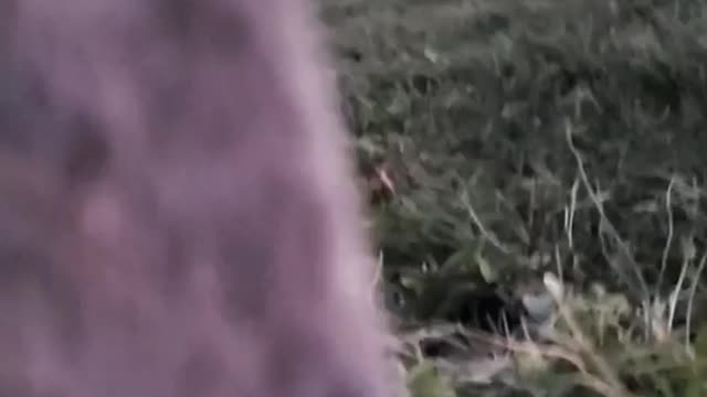 Playing hide and seek