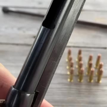 Varmint Rifle .22 Pump-Action