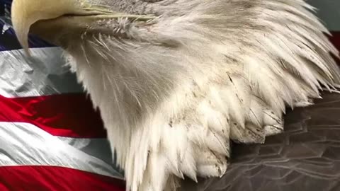 Help me understand how US taxpayers paying for PENSIONS IN UKRAINE is a good idea for OUR COUNTRY!