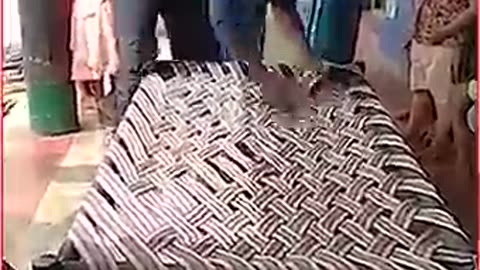 Woah! These people have incredible people to flex with!