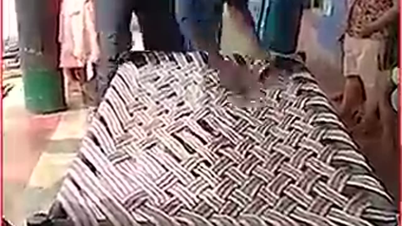 Woah! These people have incredible people to flex with!