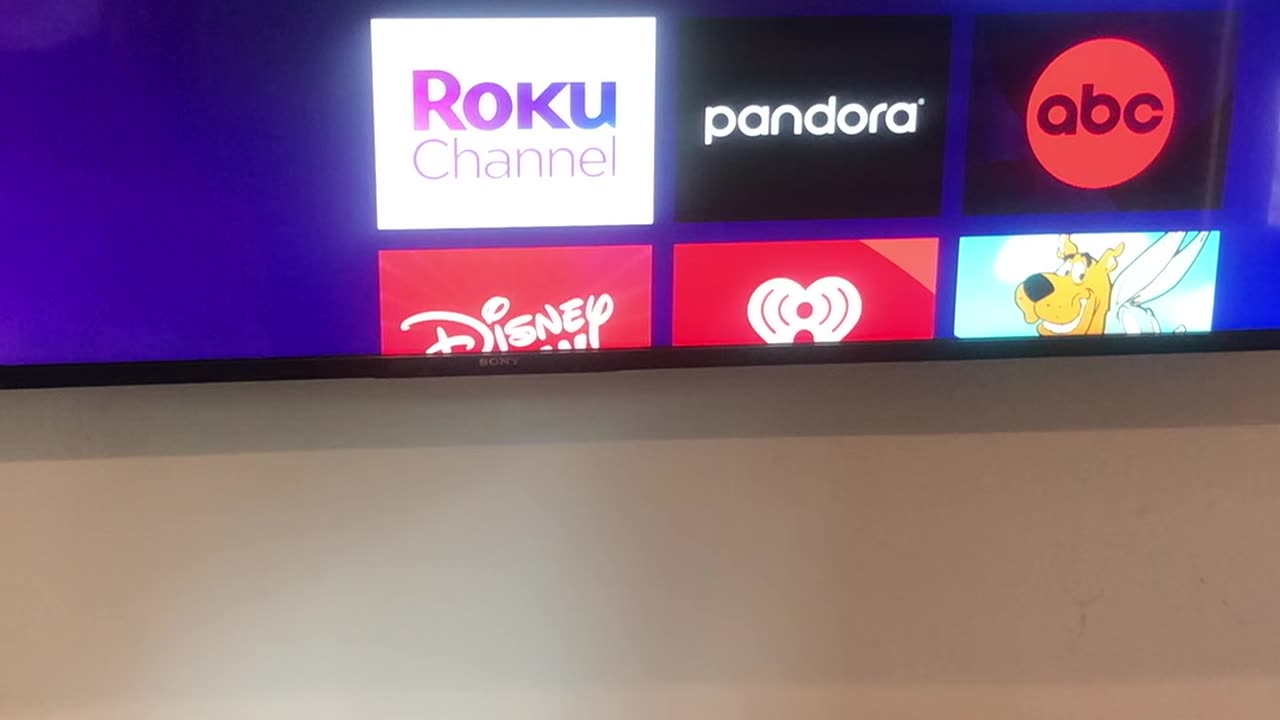 Roku Guest TV Streaming