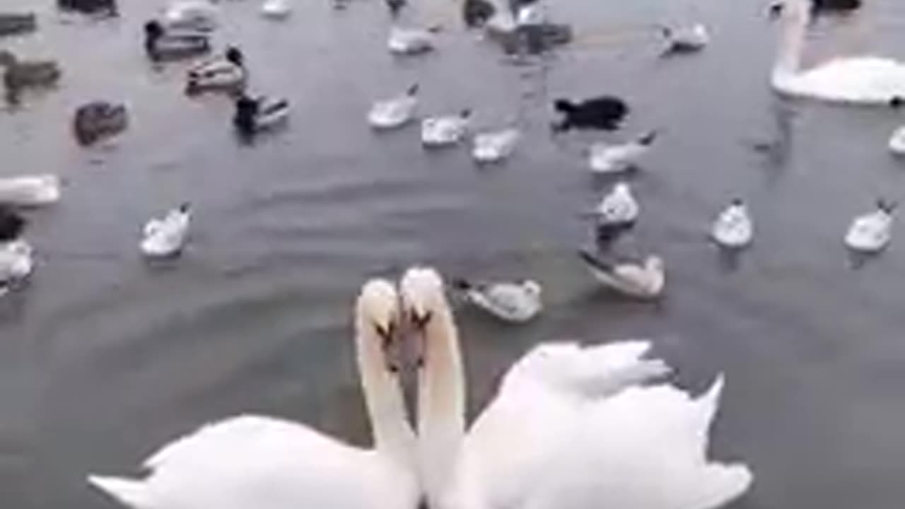 Love ❤️❤️❤️❤️❤️❤️❤️❤️❤️❤️❤️❤️