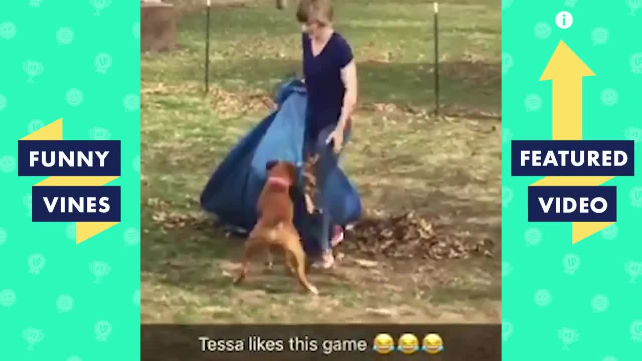[1 HOUR] TRY NOT TO LAUGH - Funny Videos Compilation