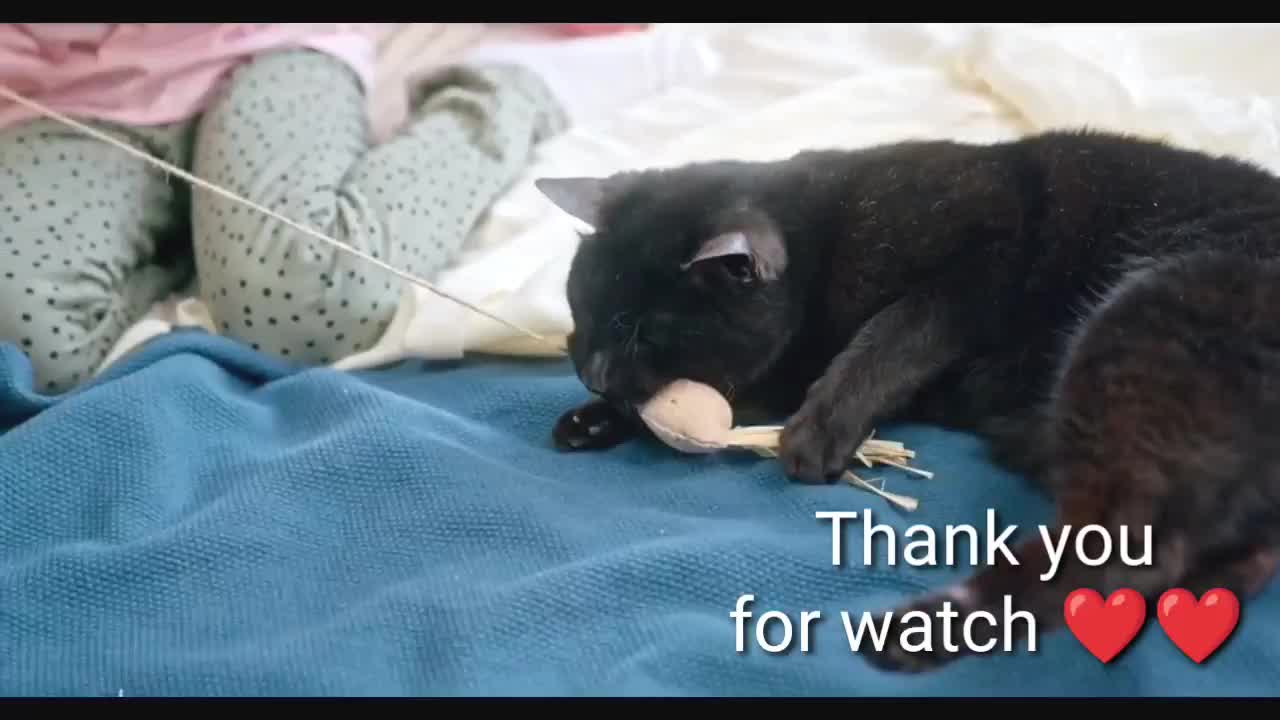 Cute Baby Playing With Her Cute pet [ Only Cute]