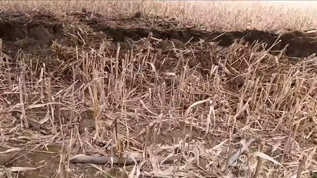 🔴 Ukrainie War - Russian KA-52 Emergency Landing During Combat Sortie At Hostomel Airport • POV