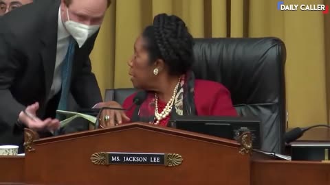 CRT Witness Begins Recording Dem Congresswoman During Hearing