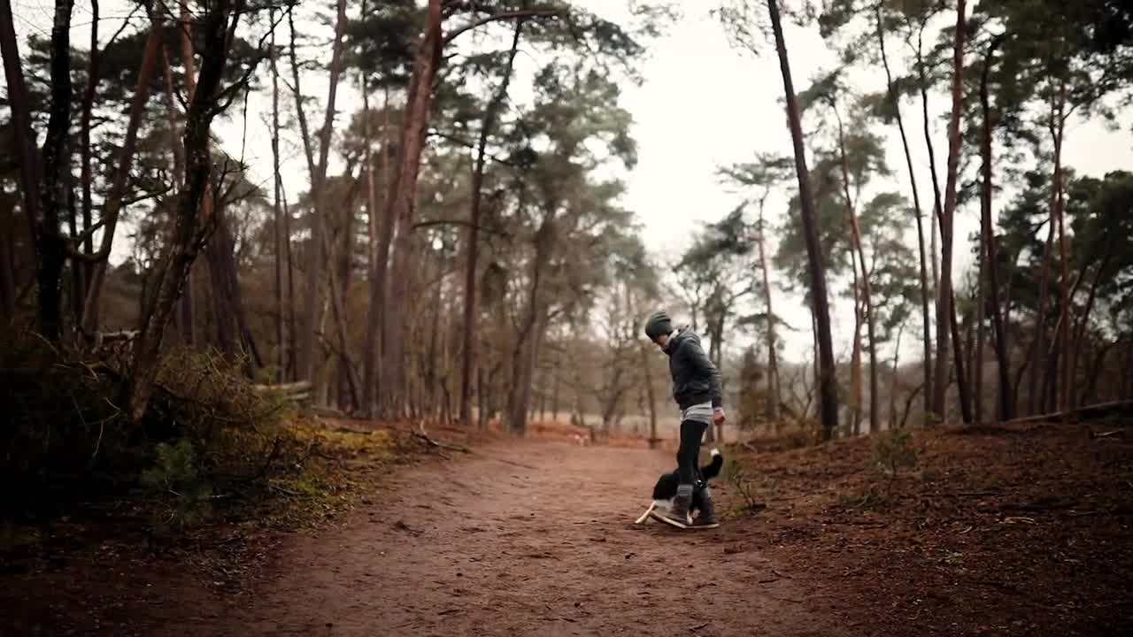 Freak Out And Run - 5 [Border Collie - Kennel Redefined]