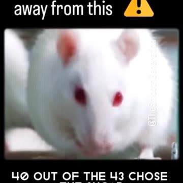 Is it really that bad?