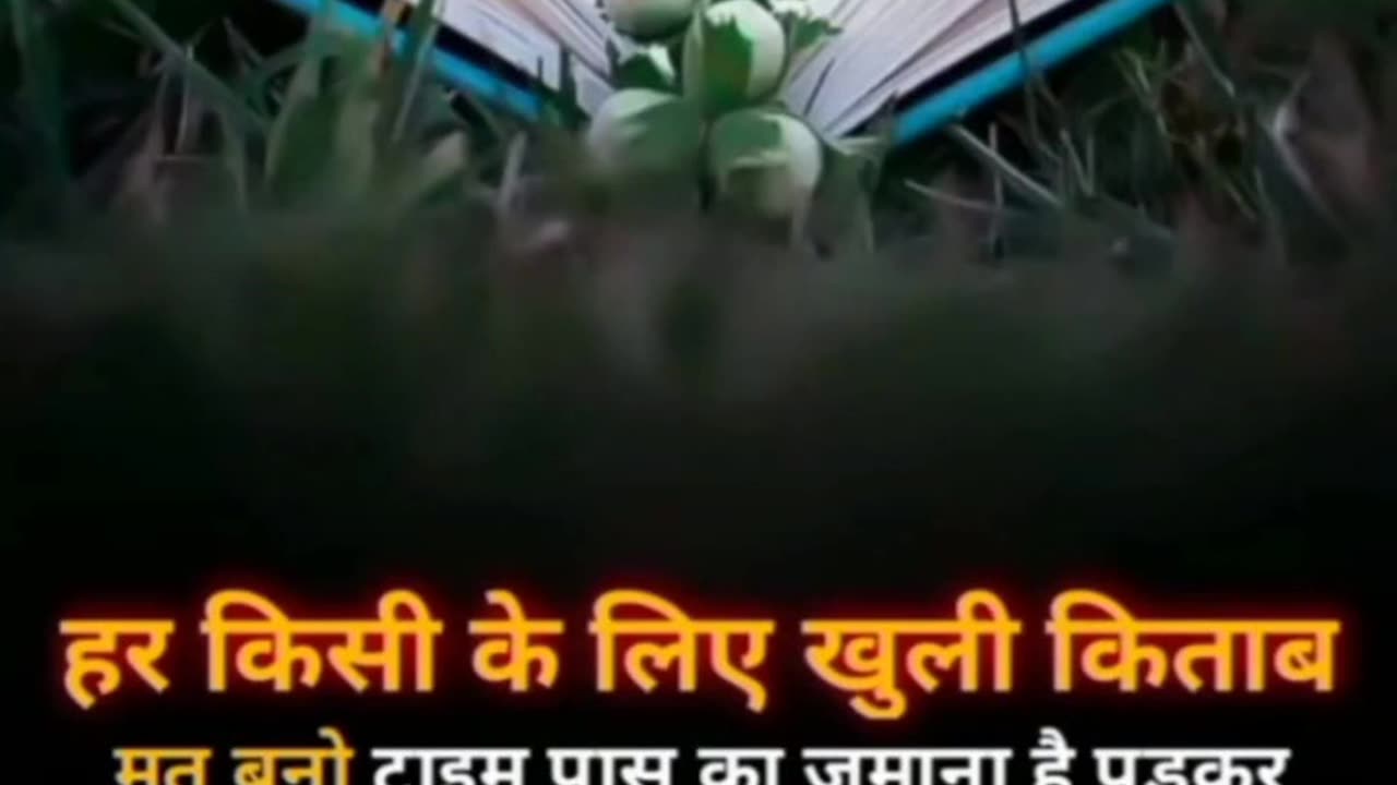 Real life truth'