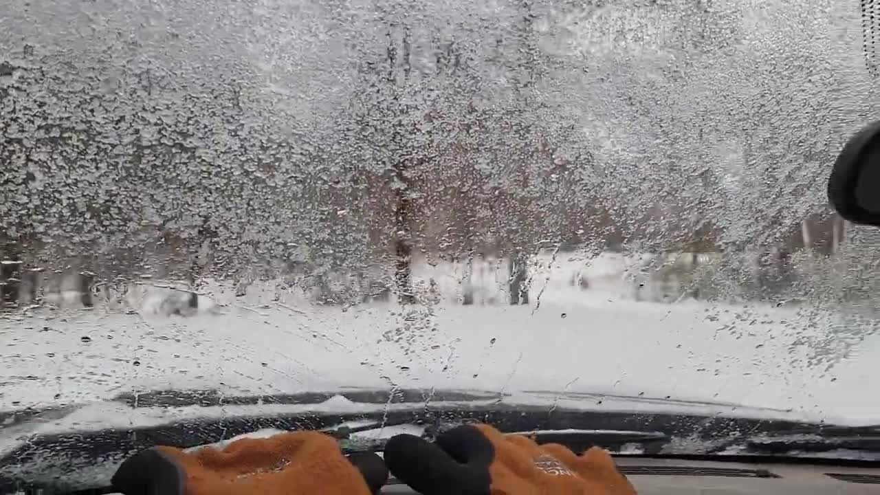 Snow chores 😎 from Pet Goose George