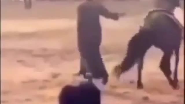 why are you standing - dance!))) 🤣