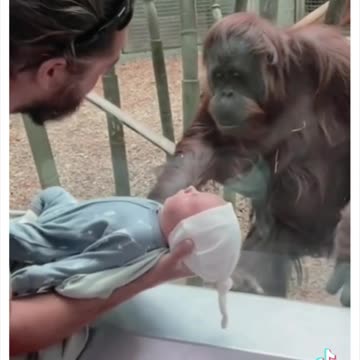 Humanity is Good❤️