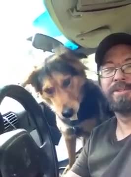 miko and my dixie horn