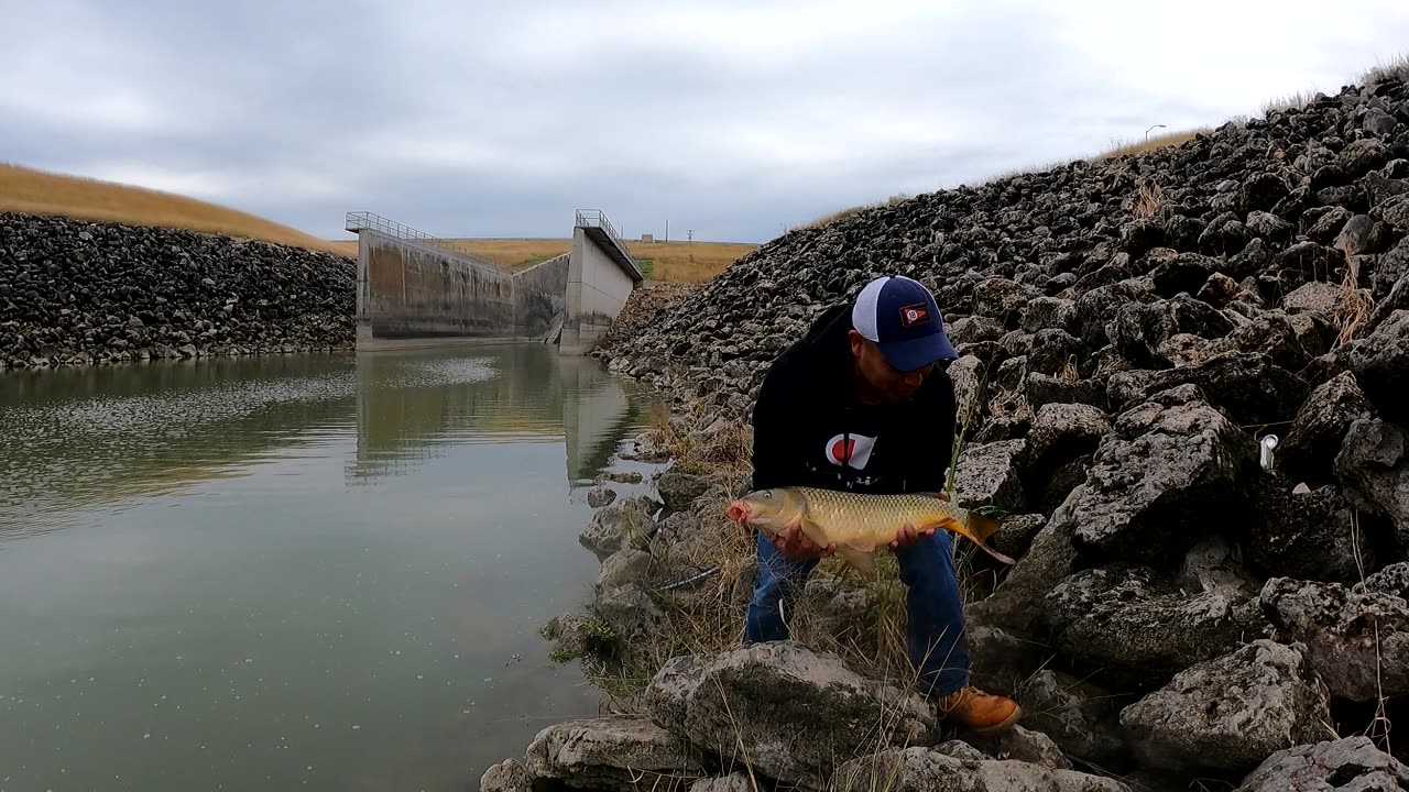 Carp and Smallmouth Buffalo fishing with Hair Rigs