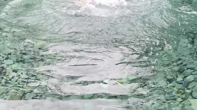 Practice Swimming 101
