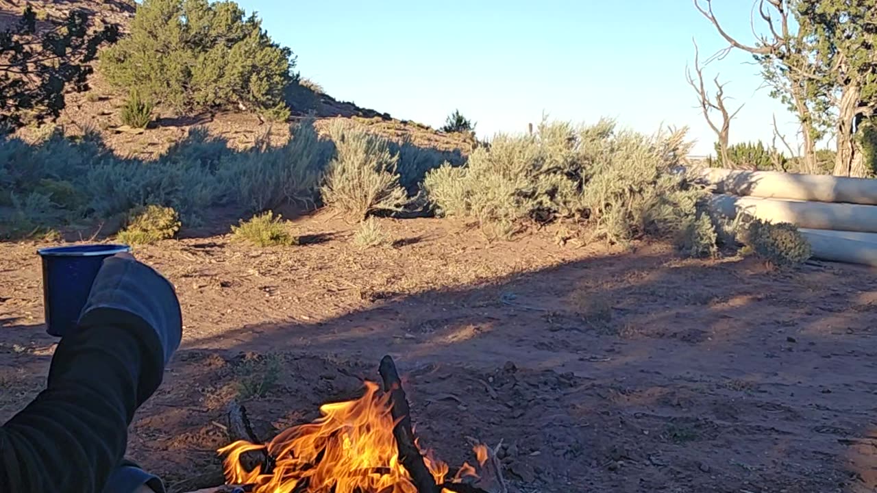 The Bearding Way by a campfire on Halloween