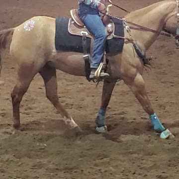 Marion County Fair Cowgirls