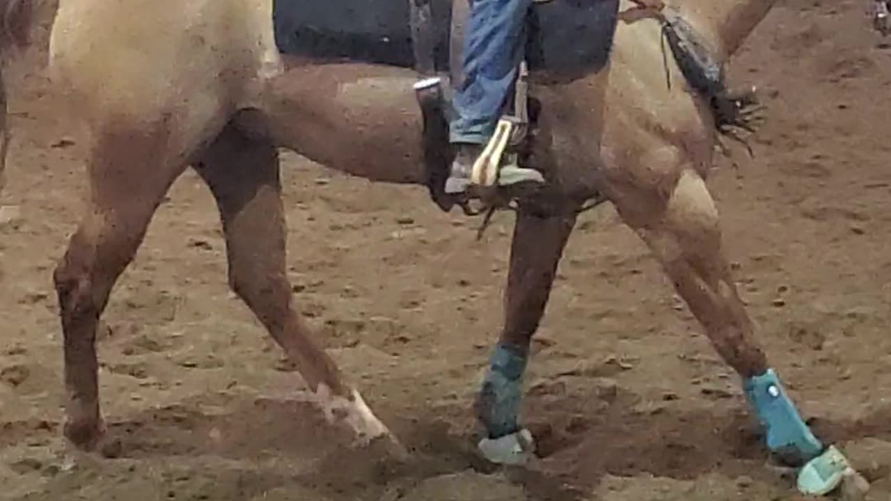 Marion County Fair Cowgirls