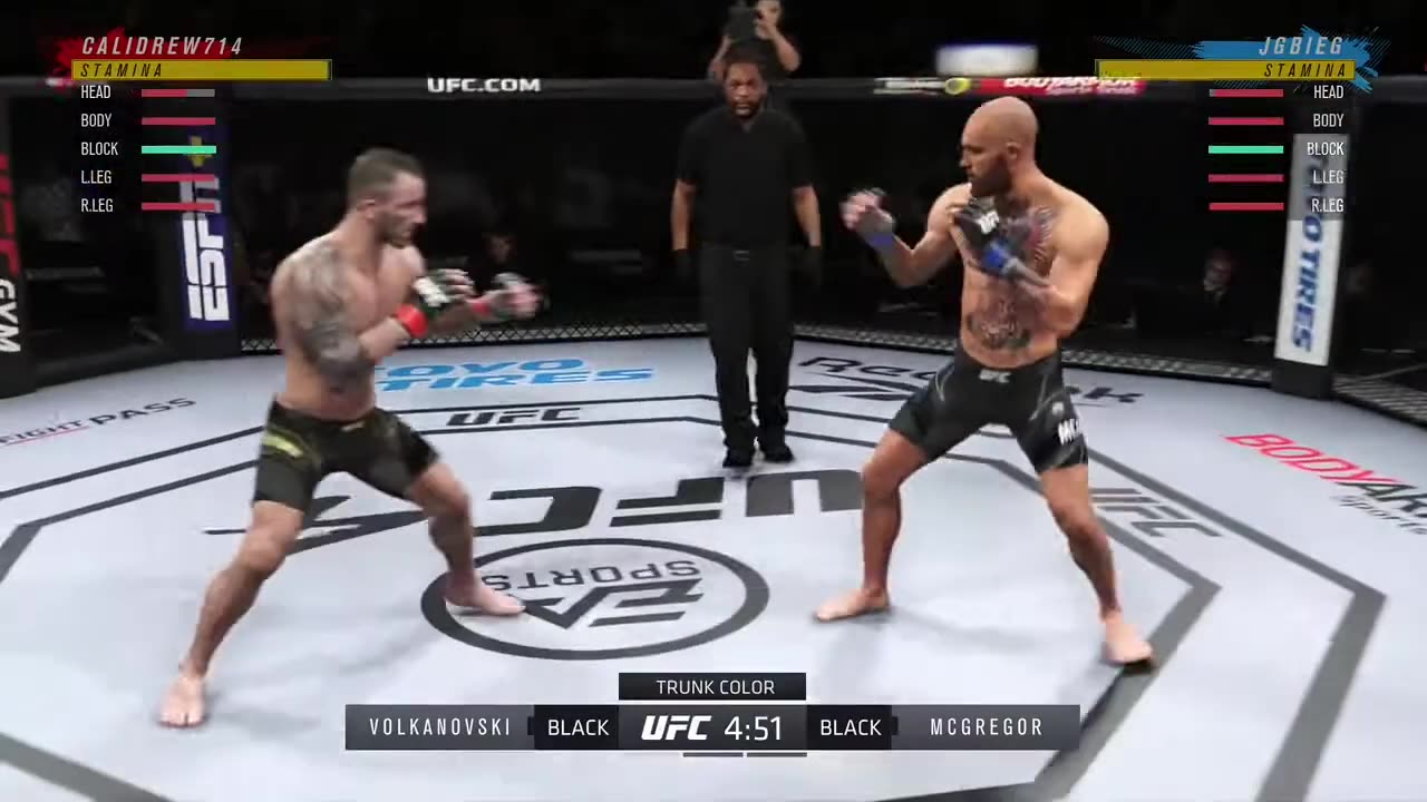 UFC 4 - Perfect Stance Switch Roundhouse @1_10