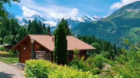 Walk along this beautiful route🌲🌿🏡