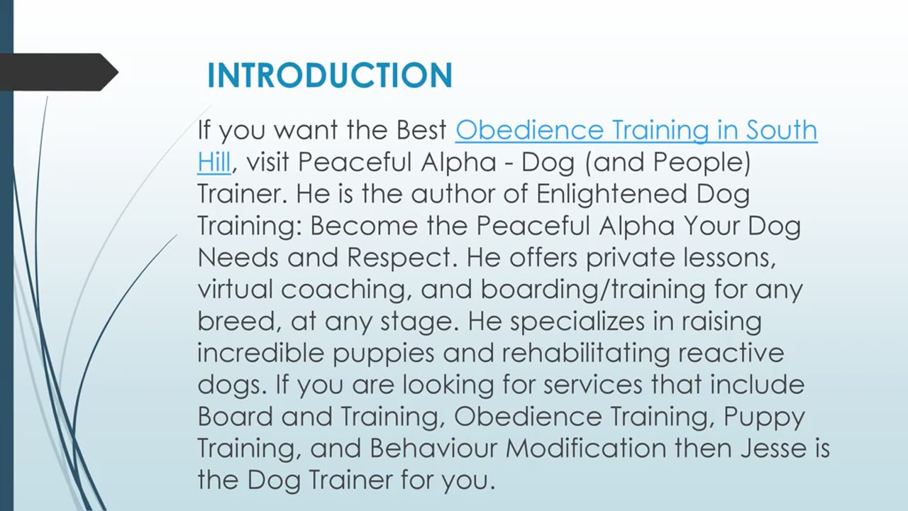 Best Obedience Training in South Hill