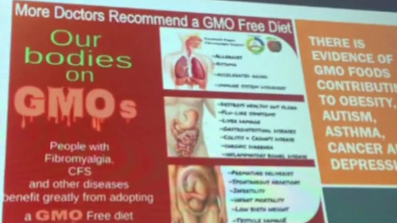 Factual breakdown into GMO foods 👀