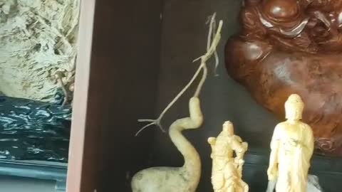 root carving