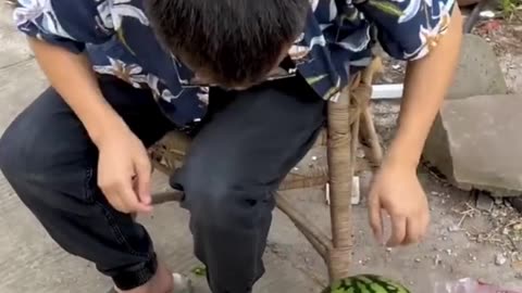 Making fun of watermelon seller