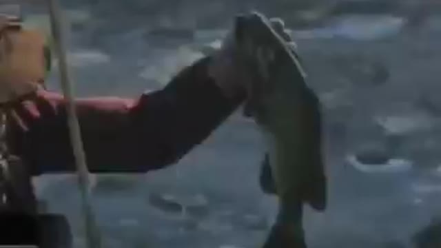 arthur catches fish