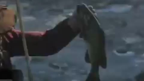 arthur catches fish