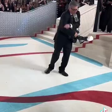 Why is everyone freaking out about a cockroach?