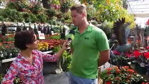 Video l'achat à 1 dollar 3