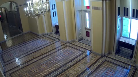 0102USCS01SenateWingDoornearS139_2021-01-06_13h45min13s863ms.mp4