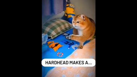 Random Memes 751