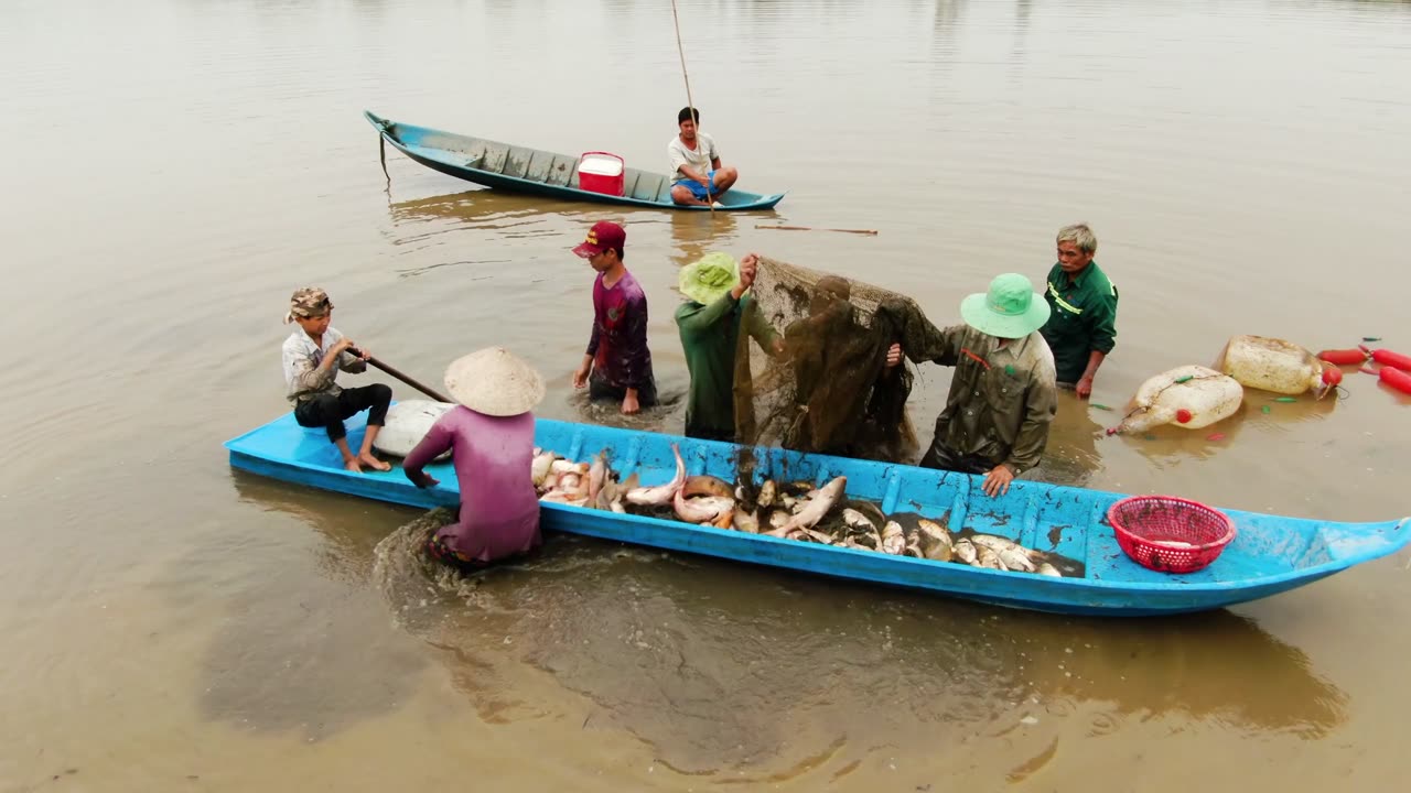 The Fisherman Get Fish Ready for Fish Harvest