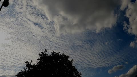 north birmingham uk 28.7.24