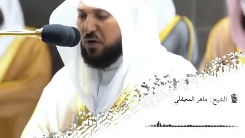 القارئ ماهر المعيقلي