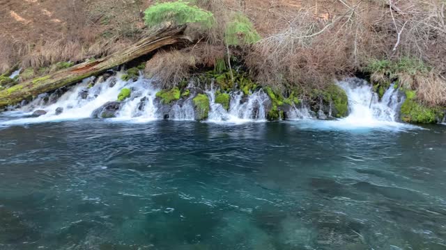 Mineral Deposits from Glacial Runoff Waterfalls Give Distinct Color – Metolius River