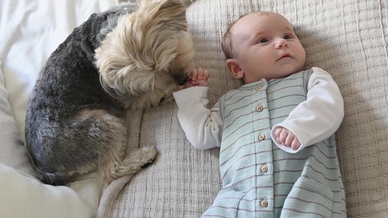 cute baby playing with the dog looking so cute