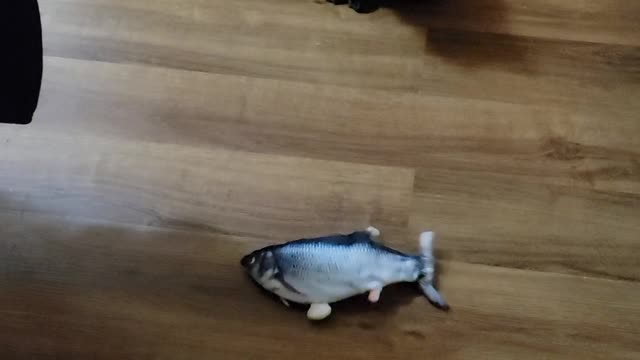 Her new 'fish'
