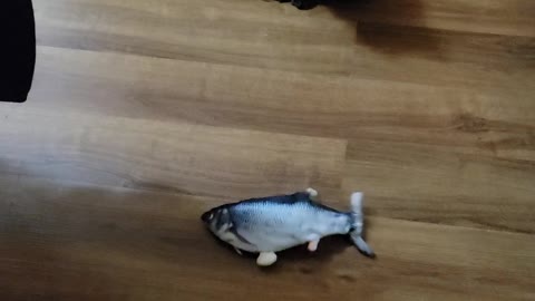 Her new 'fish'