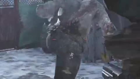 Do zombie feel fear