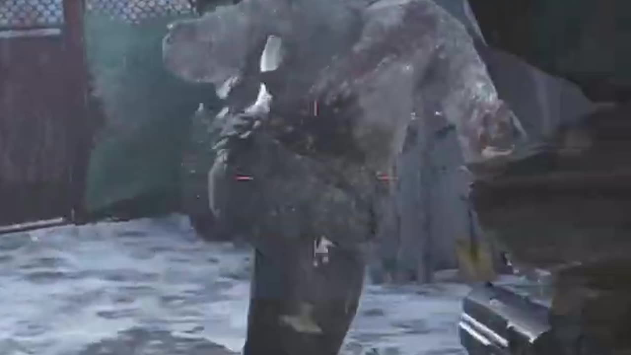 Do zombie feel fear