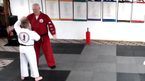 TCK Brown Belt 1 Hand Blocking Drill