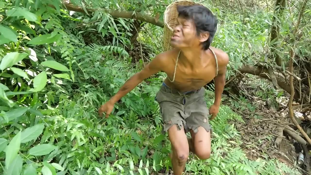 Primitive Technology - Catch Fish Food Cooking - Cook Recipes Eating Show