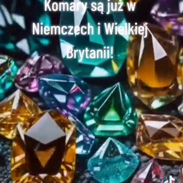 Jak nie koty, to komary... Może to te od Gatesa?